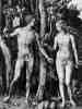 1504 Adam und Eva (250K)