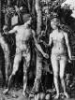 1504 Adam und Eva (Kupferstich 249K)