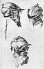 Helme, 1503