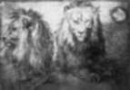 ca 1521 Zwei liegende Löwen (Silberstift 389K)