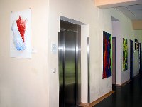 color.naise - Altbau - Greil