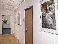 color.naise - Altbau - Fischl, Kessler